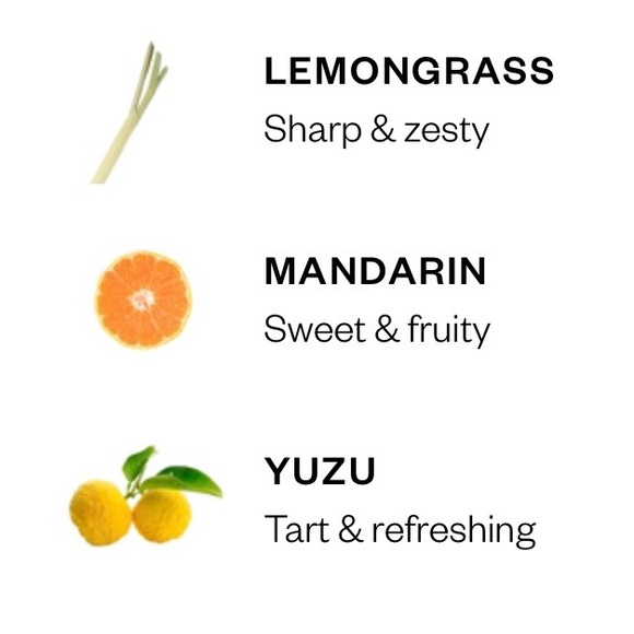 Elevate - Invigorating Diffuser Blend - Picture 2 of 7